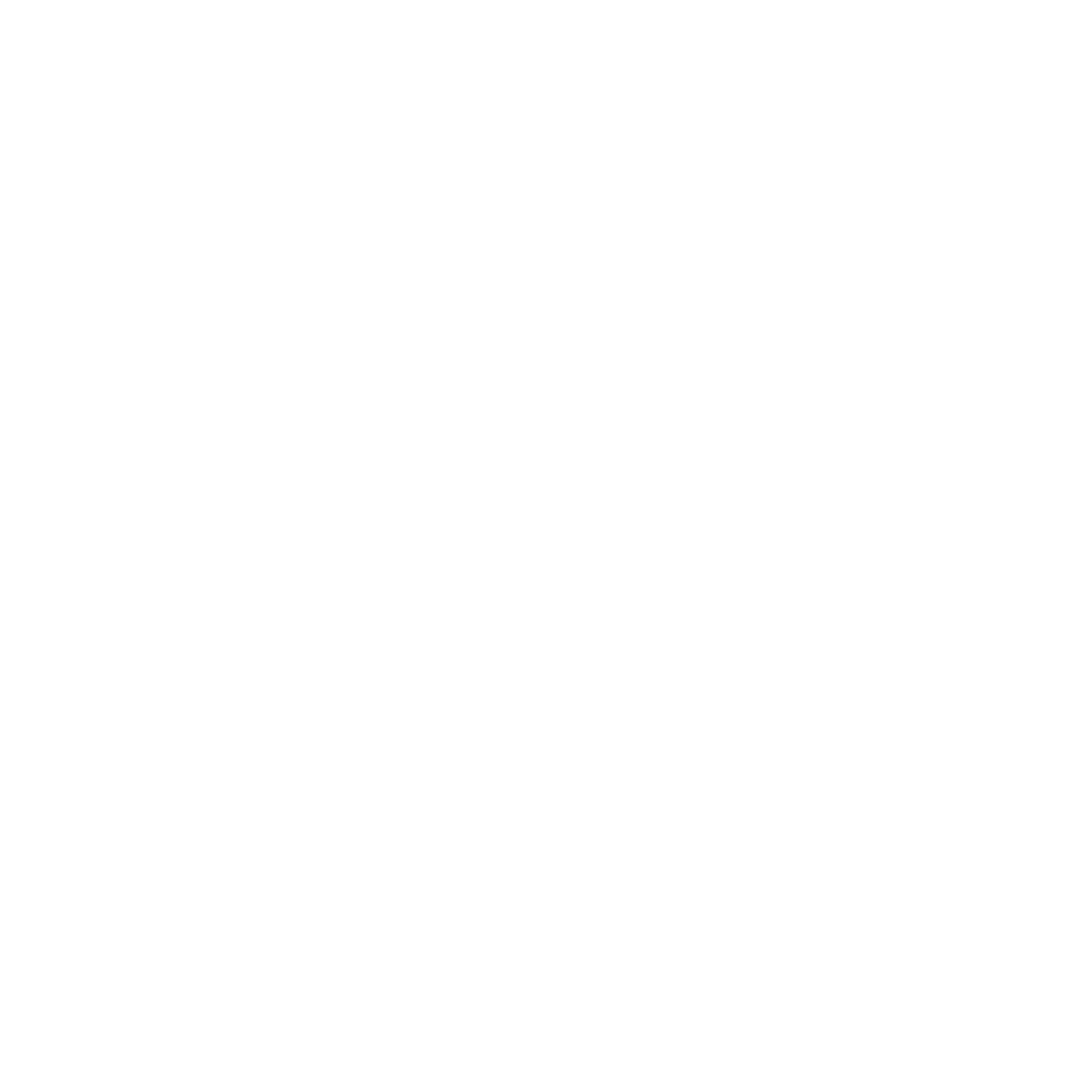 The Lost Dogs Bali